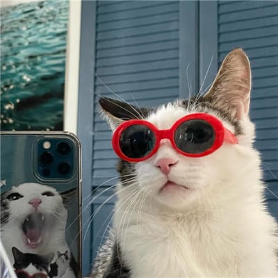 GamingQueen_PH avatar